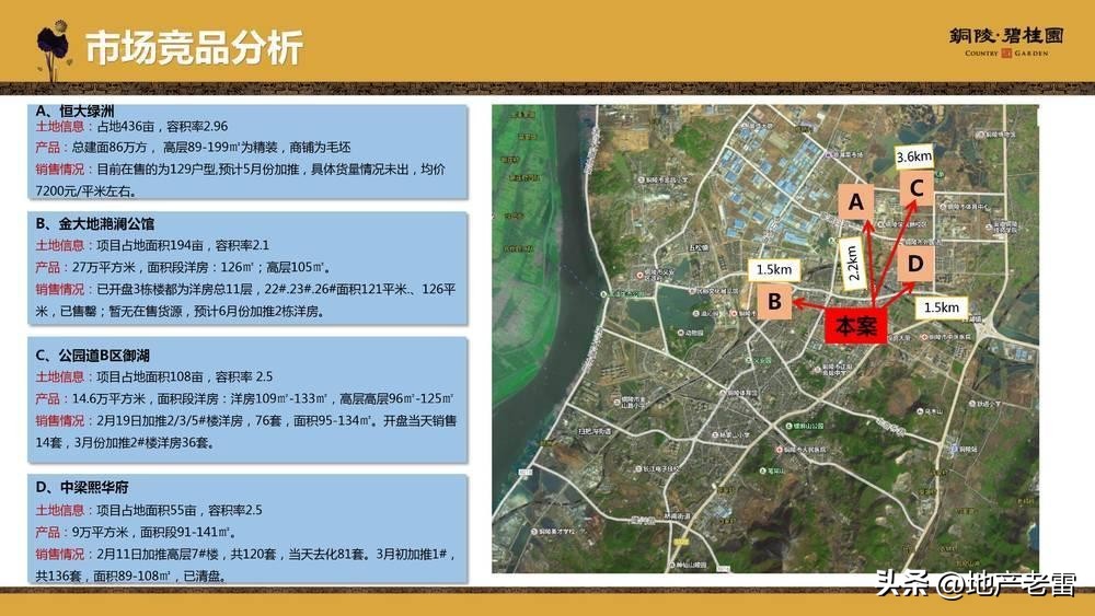 碧桂园房地产竞品分析,碧桂园房地产价格策略