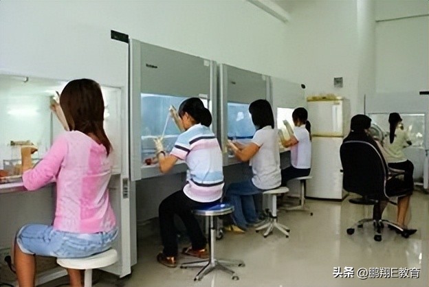 济源职业技术学院2024招生简章,济源职业技术学院中招招生简章