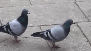 受伤后千万不要抠结痂,受伤了希望不要留下疤痕