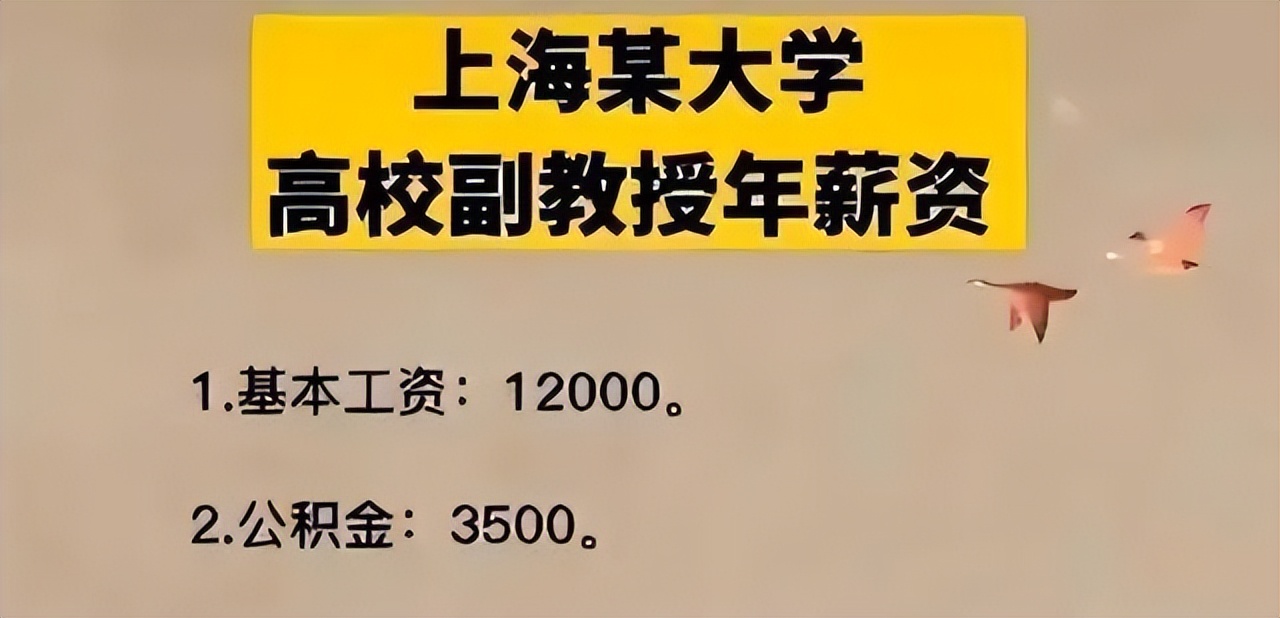 985副教授工资待遇,985高校正教授工资待遇