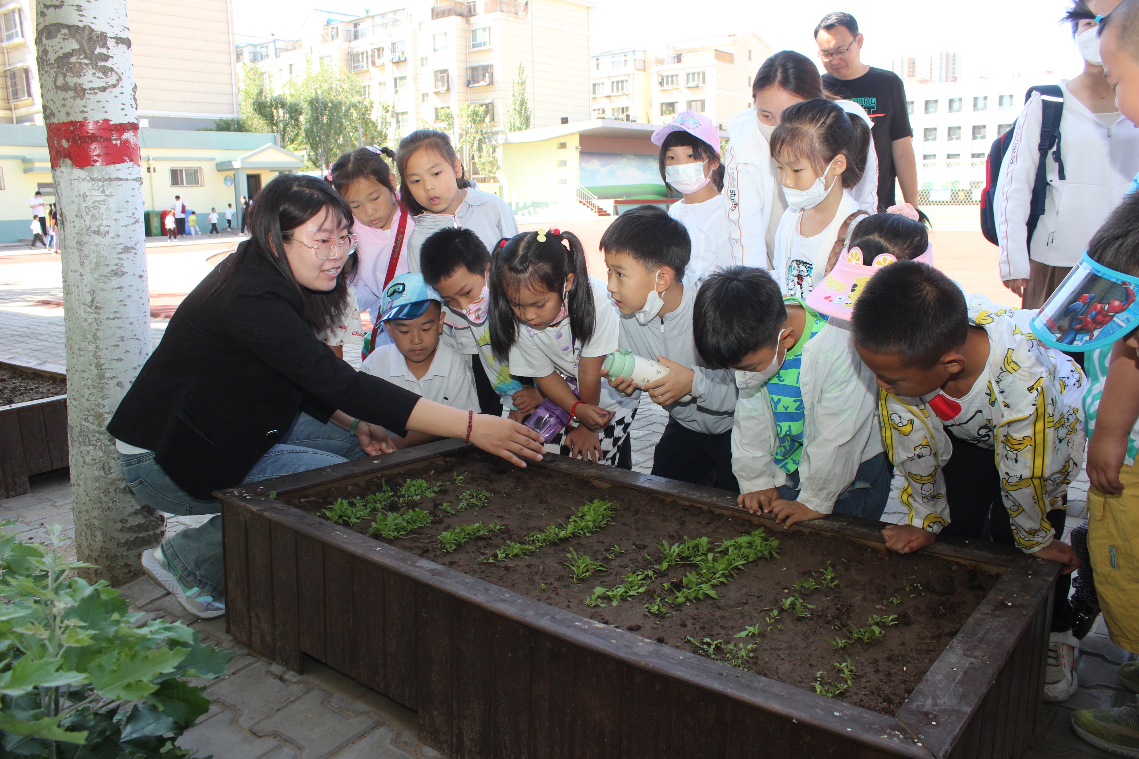 鍒濋亣灏忓浣撻獙鎴愰暱,绛戞ⅵ鎴愰暱鍒濋亣灏忓