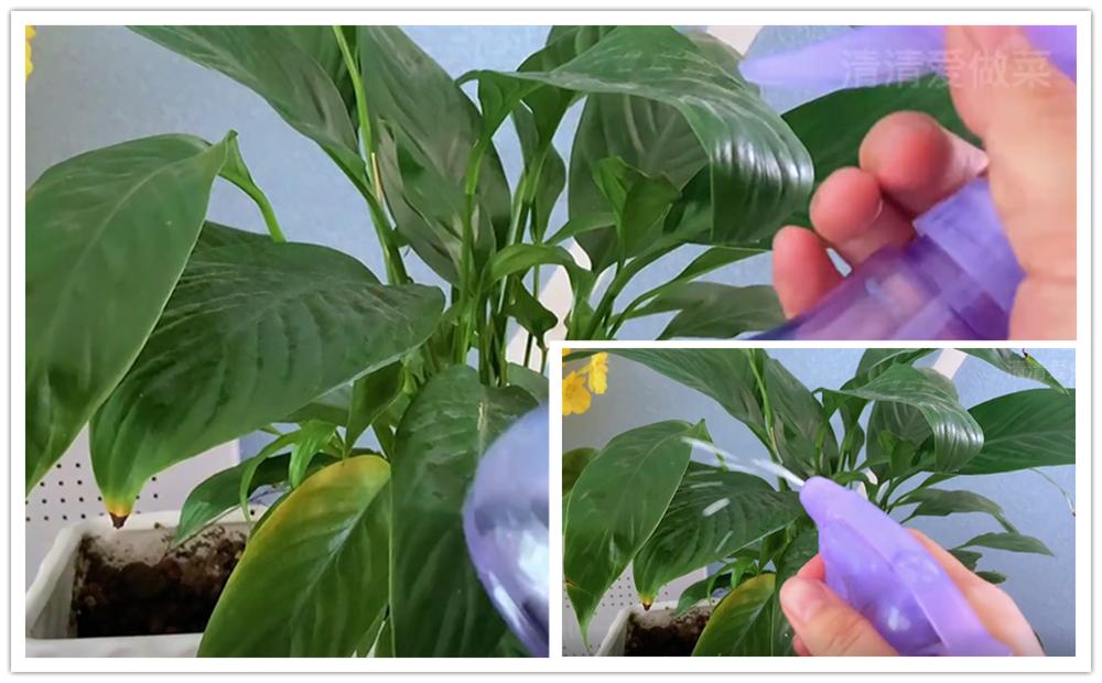 蚊香断了先别扔！放进水中泡一泡，解决生活大烦恼，真厉害