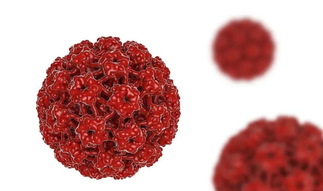 HPV感染相关的妇科疾病，抗HPV生物蛋白敷料带你了解