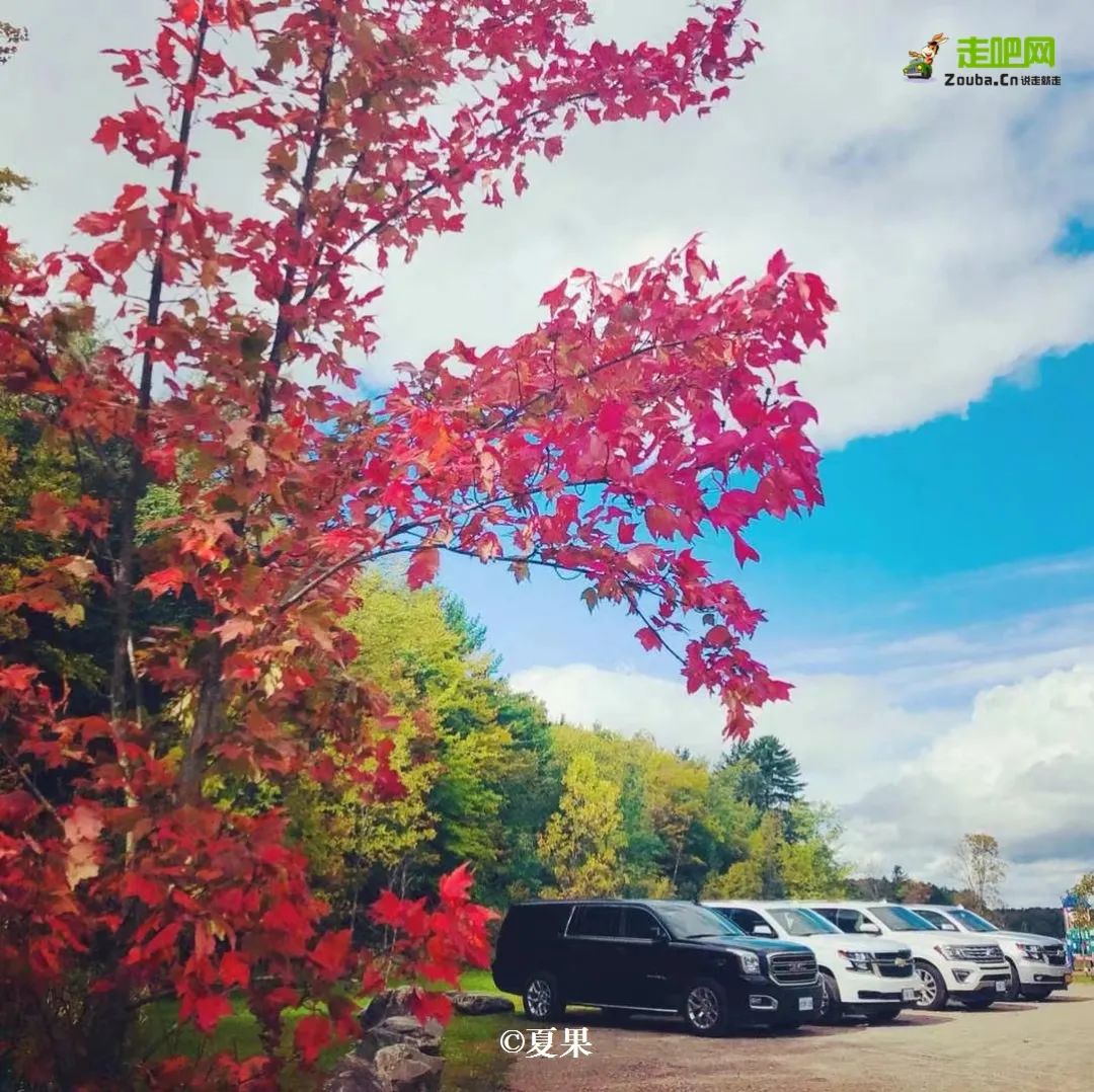 无名的冒险记录,无名的旅行完整版