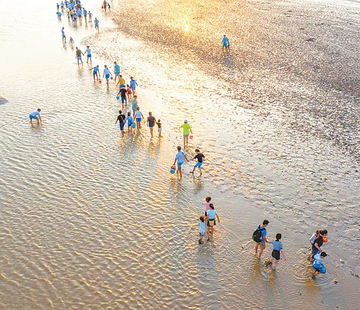 盐城秋季乡村文旅推荐,盐城好生活