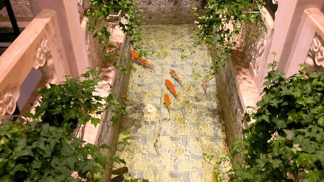 谁把“故宫”搬进天津?人均50元+,请客聚会也太有排面吧……