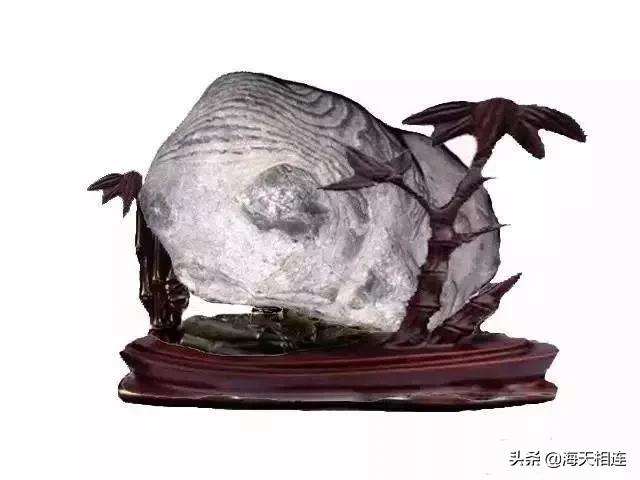 难得一见的仙鹤假奇石,这些难得一见的奇石美醉了