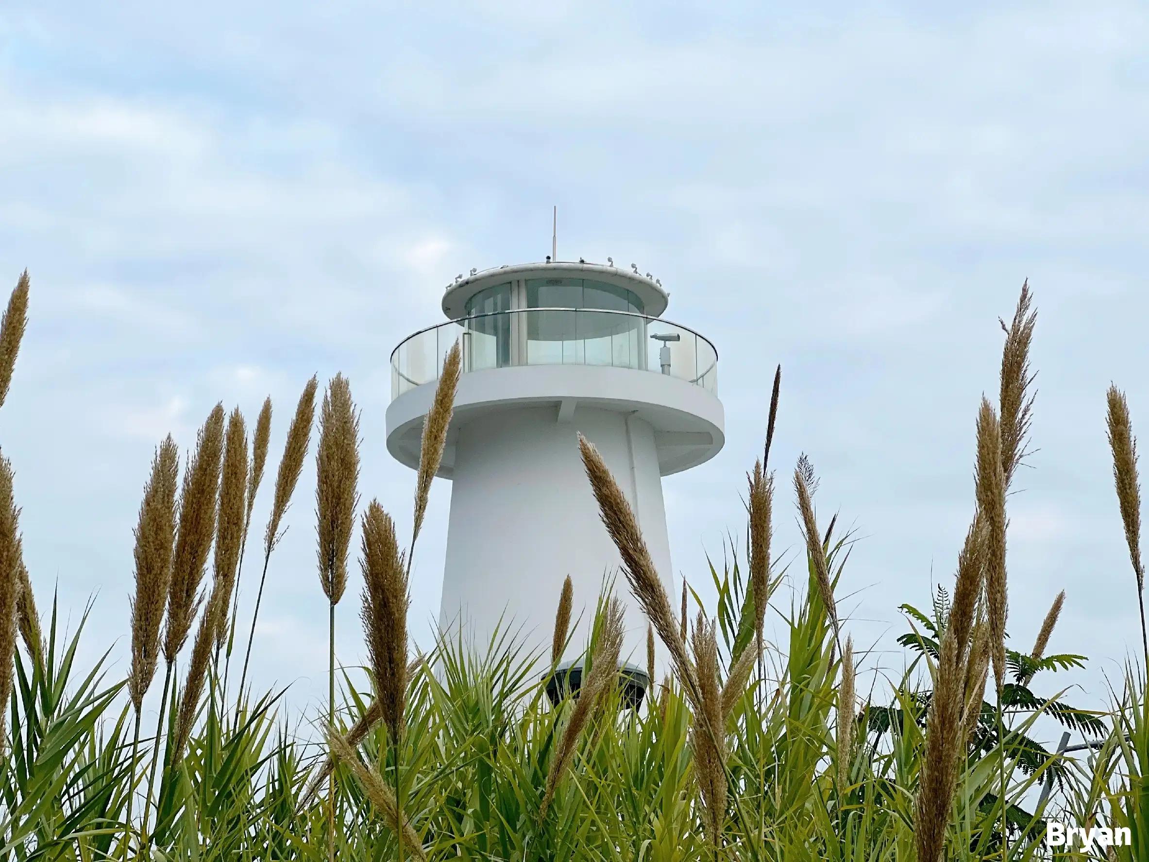 蛇口海上旅游,蛇口海上游深圳