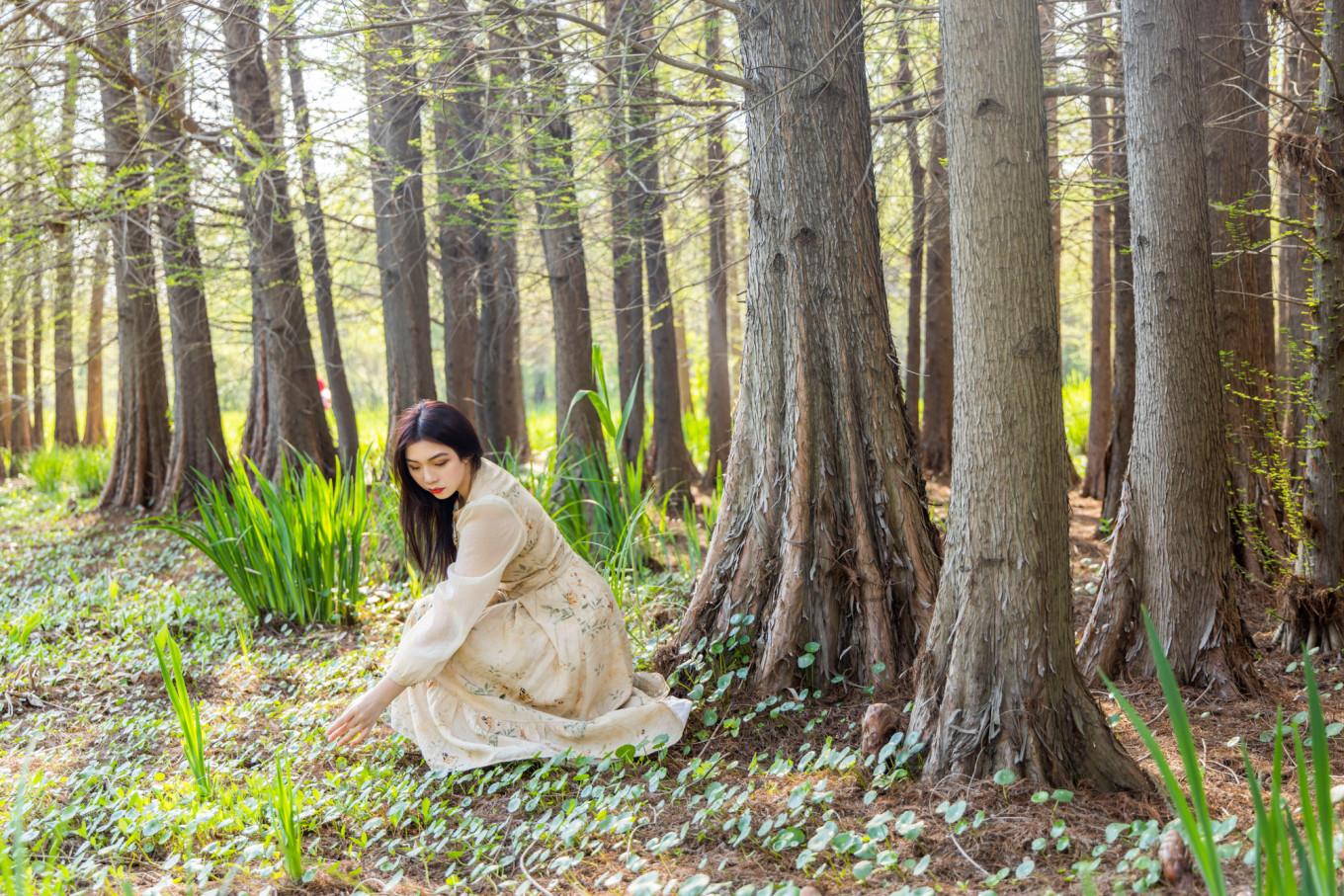春日下江南杭州,泰州一日游攻略美食