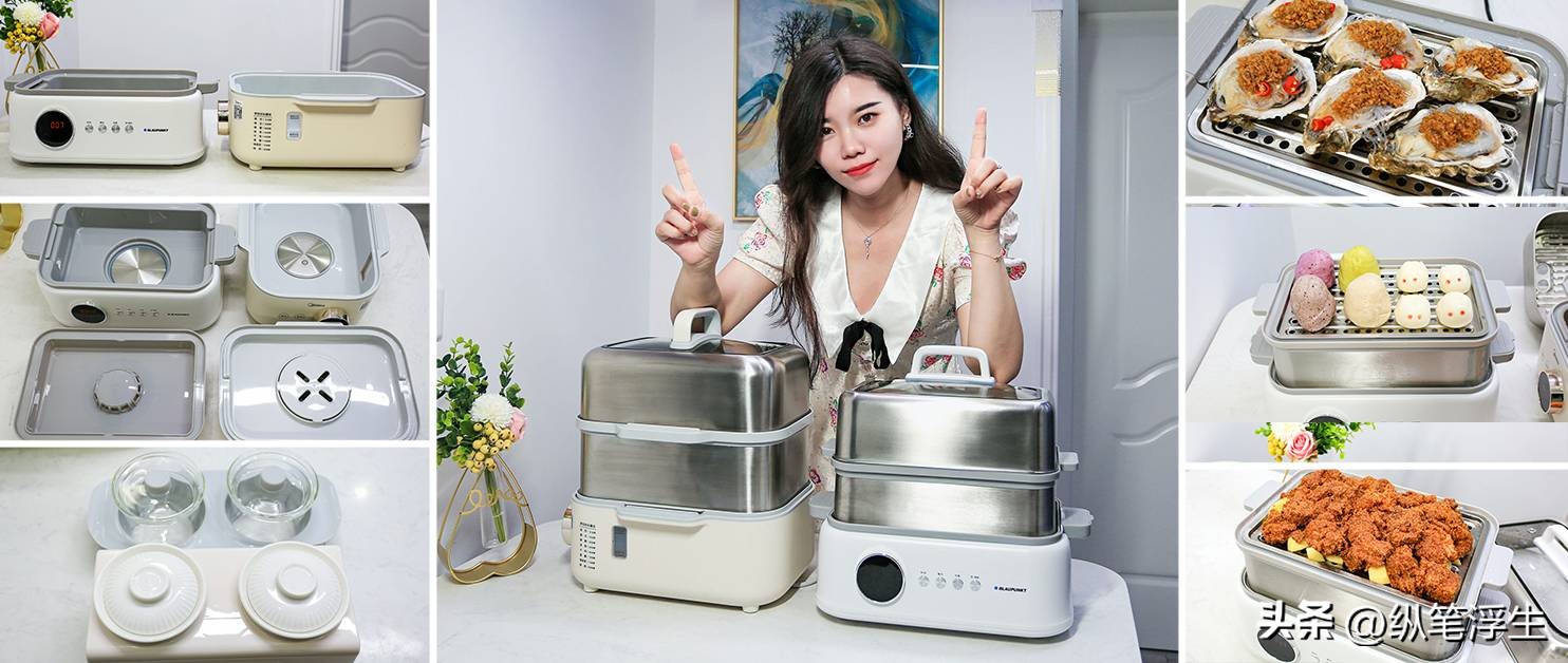 蓝宝电蒸锅对比评测,蓝宝电蒸锅真实测评