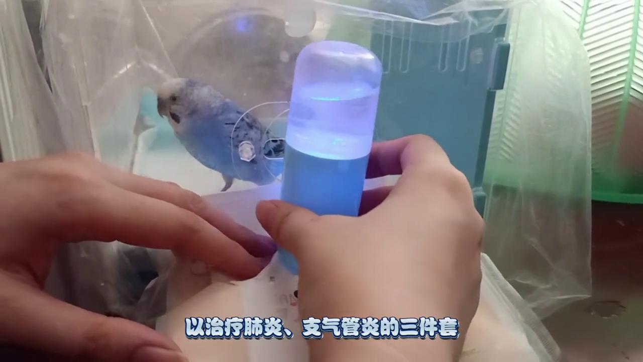 有备无患未雨绸缪,有备无患歌曲