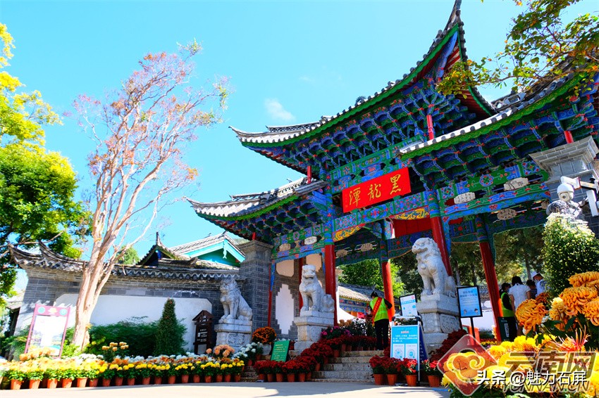 丽江黑龙潭玉龙雪山倒影美图,丽江早晨黑龙潭风景区