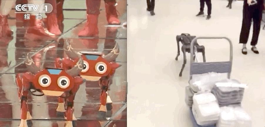 新出生的机器狗,刚生出来的机器狗