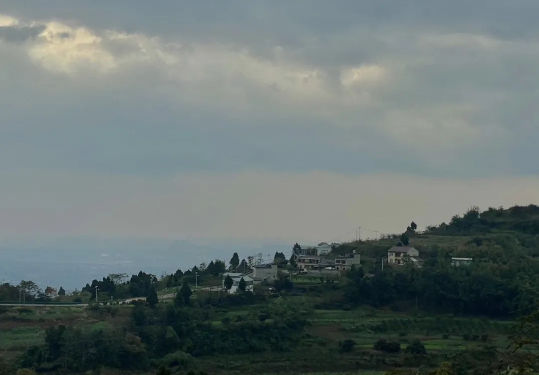 成都旅游豌豆尖,成都仰天窝近郊爬山推荐