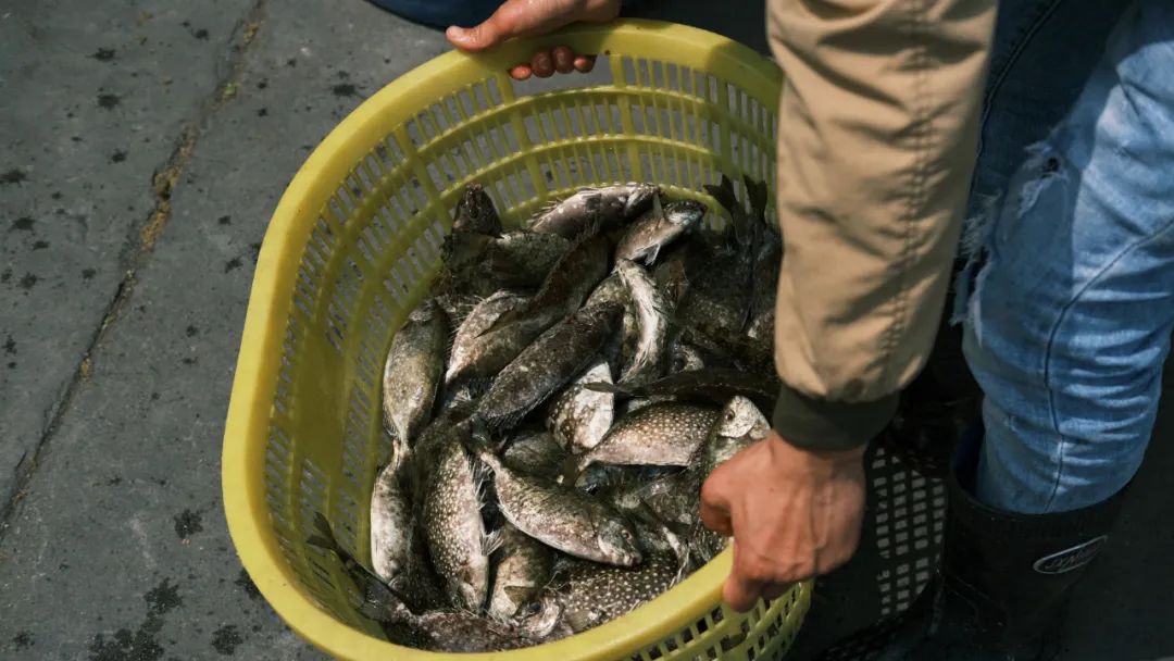 你根本没有去过侨港