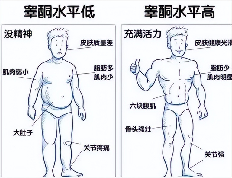 每日睡眠和增肌,增肌增强睡眠的方法