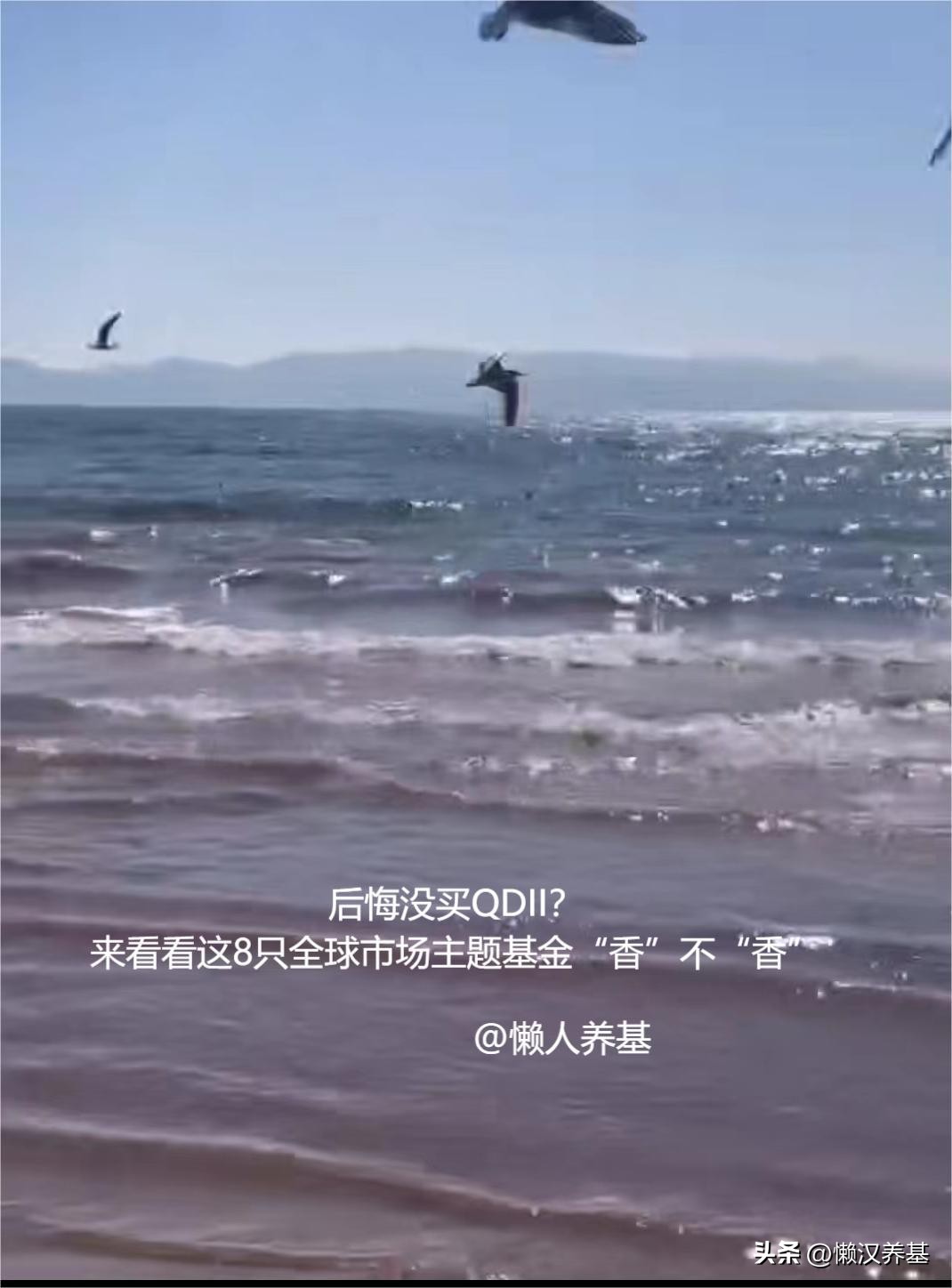 qdii基金哪个最值得购买,qdii基金是主题基金吗