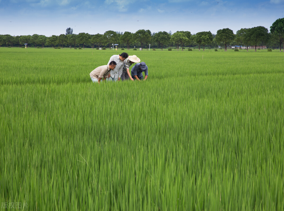 农业十大含金量高证书怎么考,考农业资格证书需要必备哪些条件