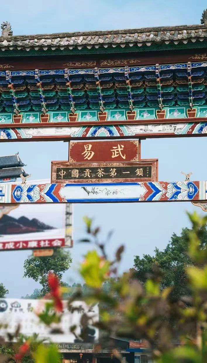 普洱茶惊艳的小产区,一张图看懂100个普洱茶产区