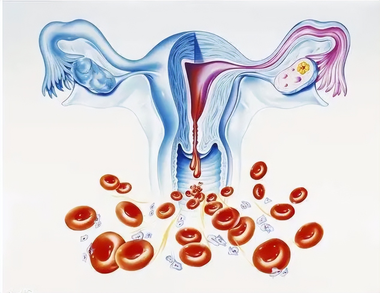 月经量少的可怜吃什么药,月经量少得可怜只用护垫就行了