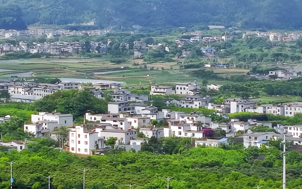 农村的家蛇是什么蛇,农村有句俗话家里进了蛇不能打