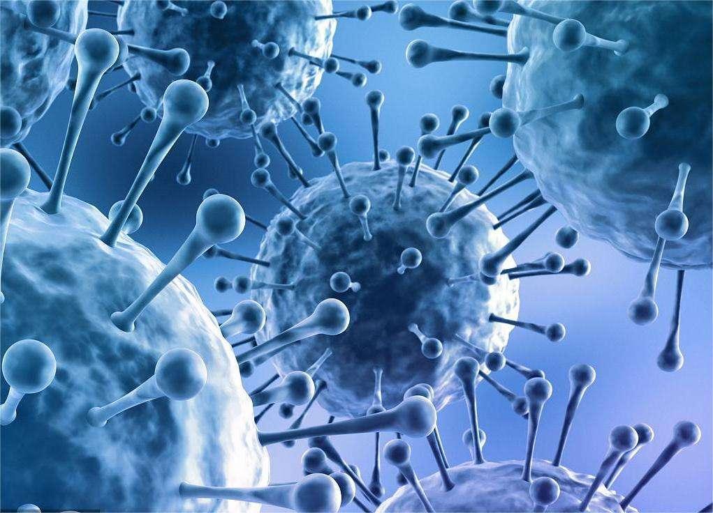 头孢和阿莫西林是一个性质吗,头孢和阿莫西林有啥区别和不同