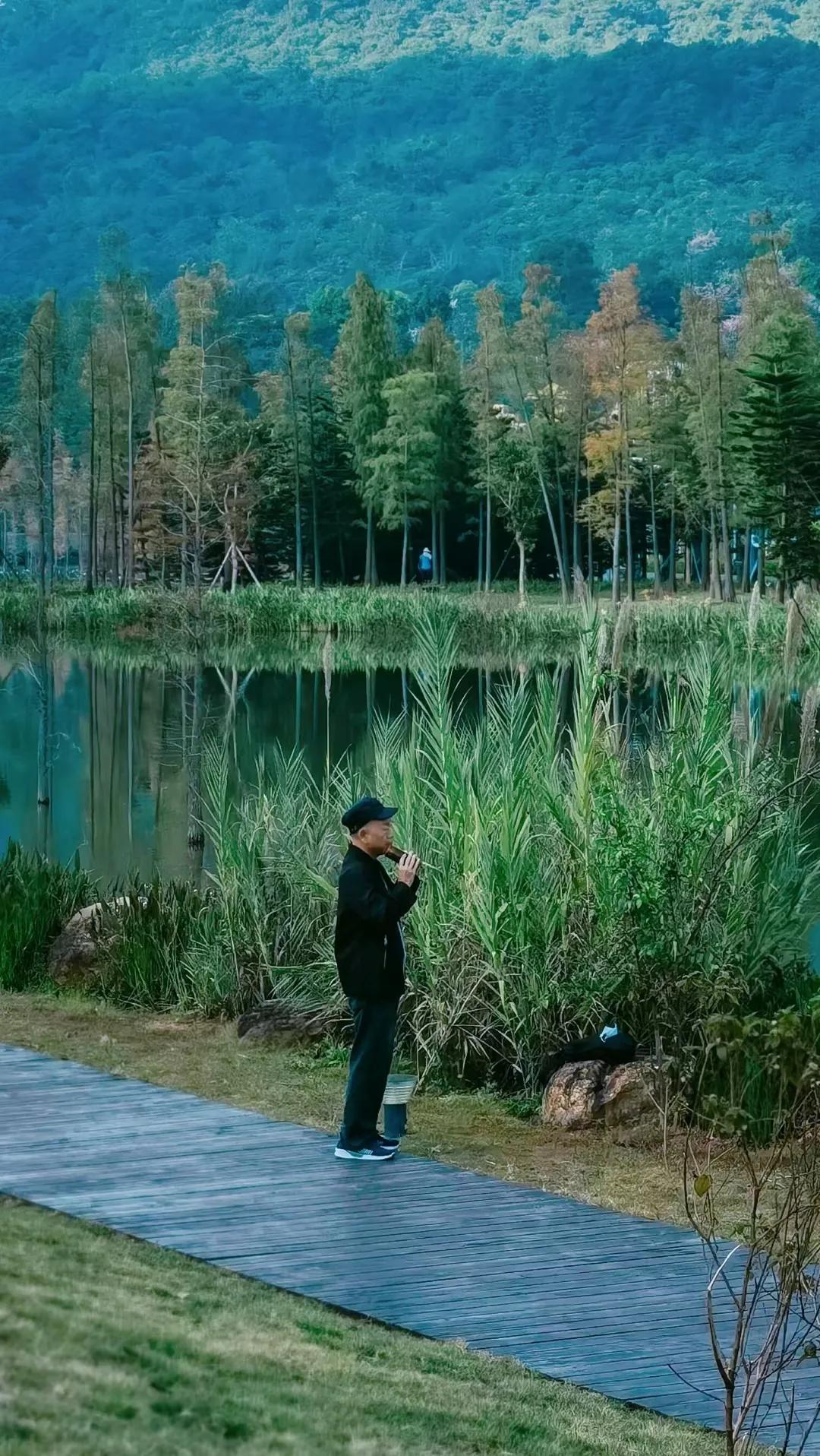 下辈子只想做条只有七秒记忆的鱼,愿做一条只有七秒记忆的鱼