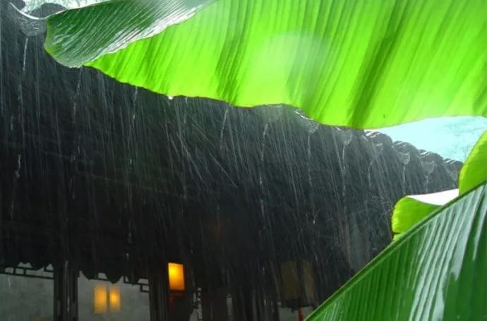 「新梦文学」同题专刊：东边日出西边雨】