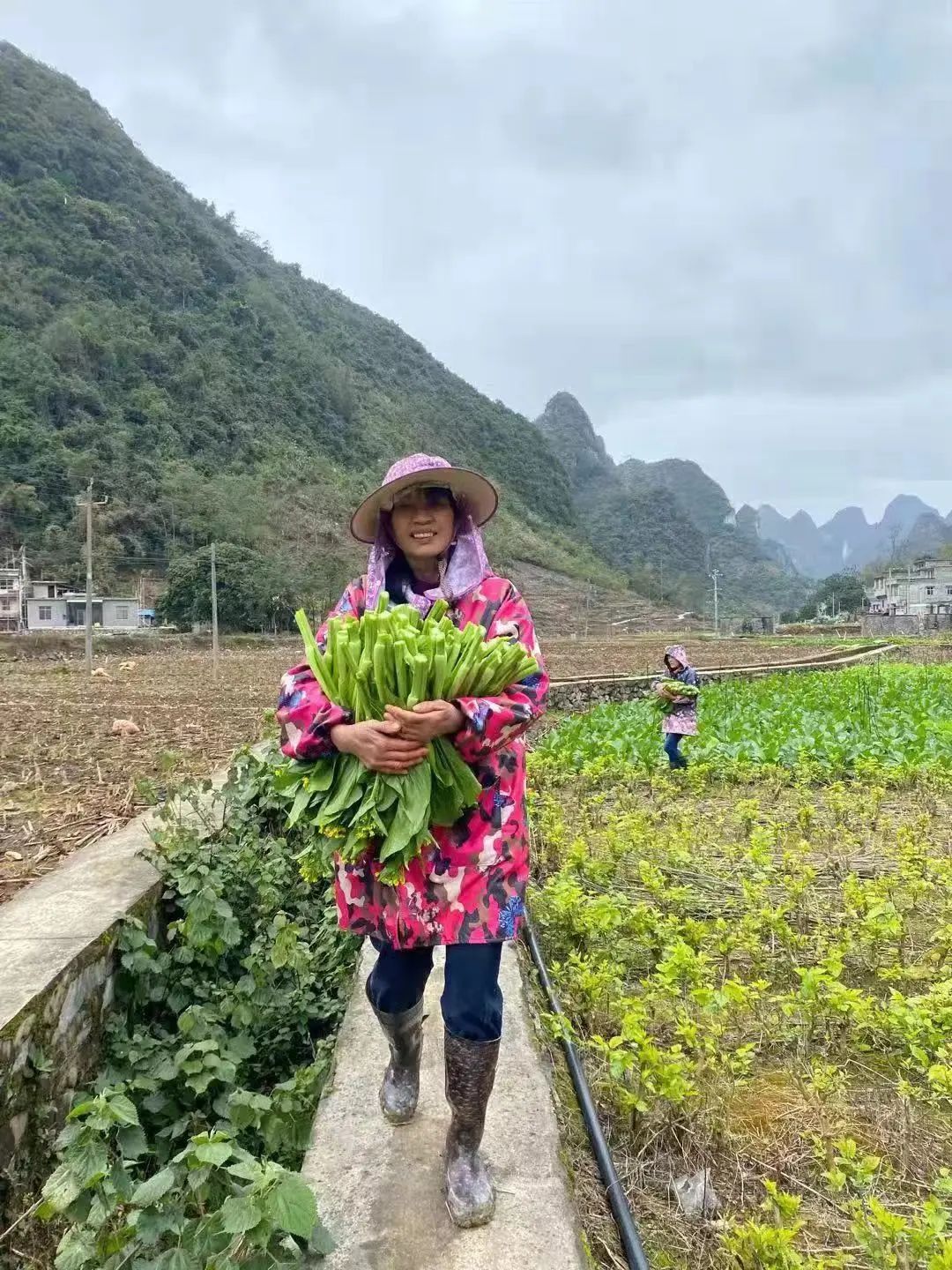 蜜甜，菜甜，幸福的生活更甜