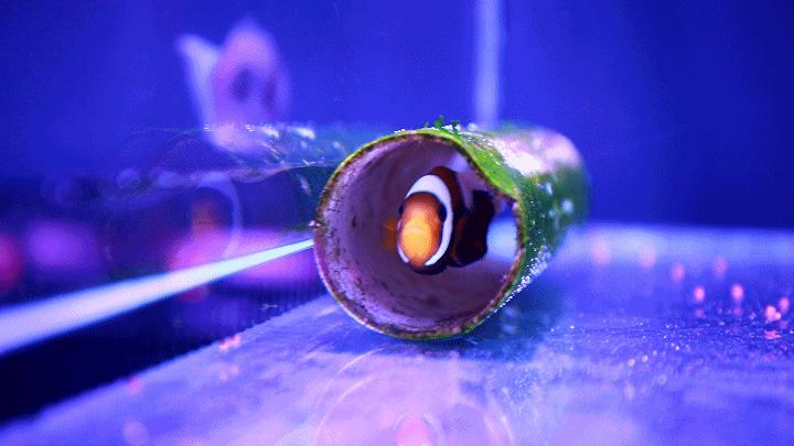 探访！新官园市场萌萌小动物们“营业”啦——