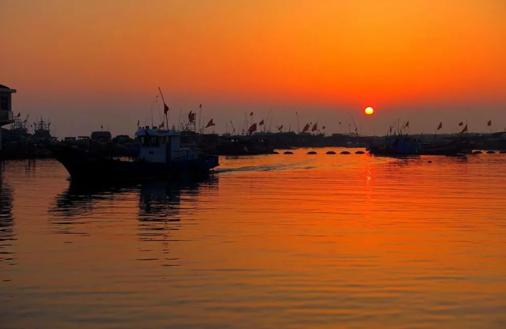 足不出沪旅游,足不出沪食遍江南