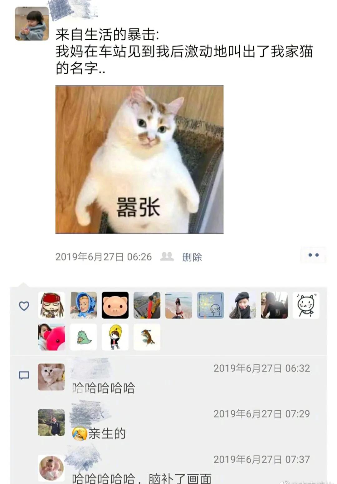 别人找你砍拼多多怎么回怼,朋友叫你拼多多砍一刀神回复