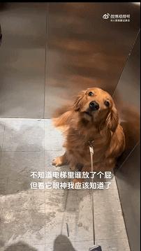 姑娘下次自拍的时候整理一下房间吧，你的秘密都被大家发现啦