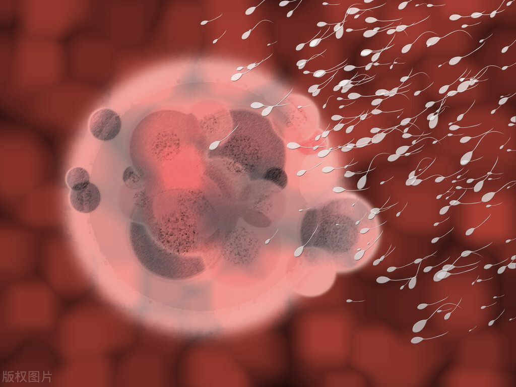 一分钟看懂液质分析,一秒看懂前列腺增生