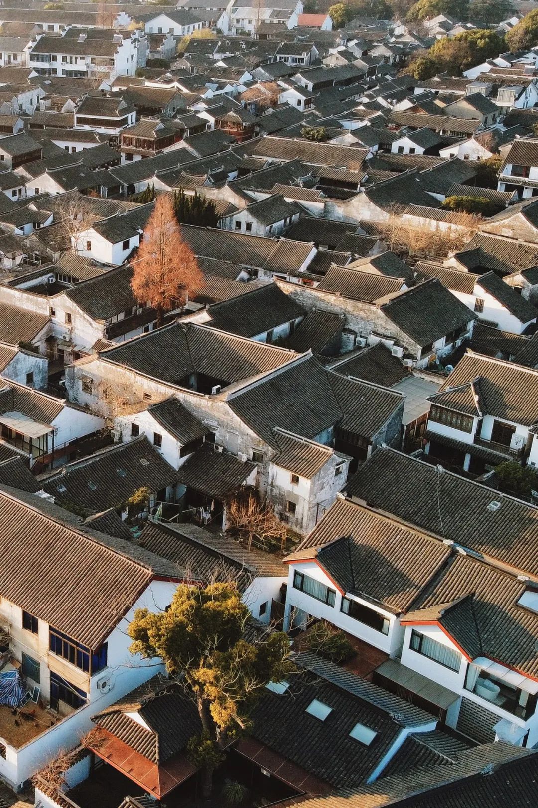 年味浓的古镇旅游推荐,6月份值得去的冷门水乡古镇