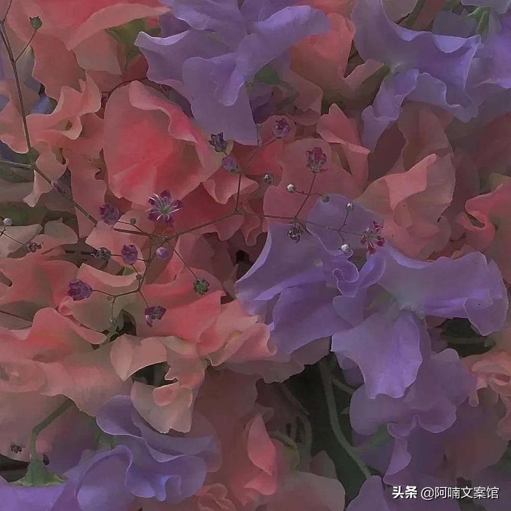 心有千斤重的文案图片,心有千斤重却体重不重文案