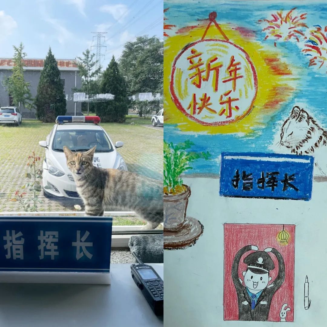 揭秘！派出所的“镇所之宝”