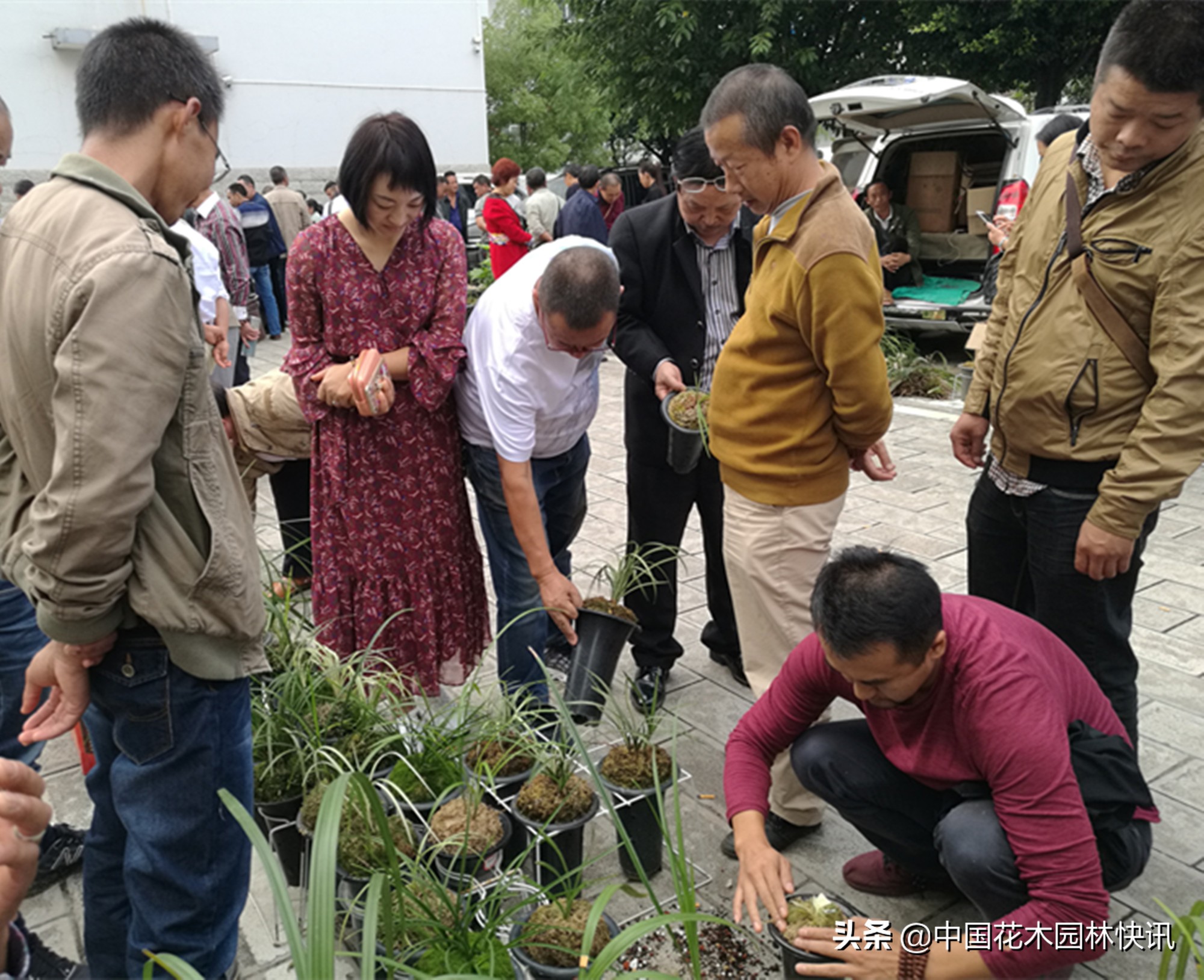浜戝崡鍏拌姳浜т笟瑙勬ā,浜戝崡澶х悊鍏拌姳浜т笟瑙勬ā