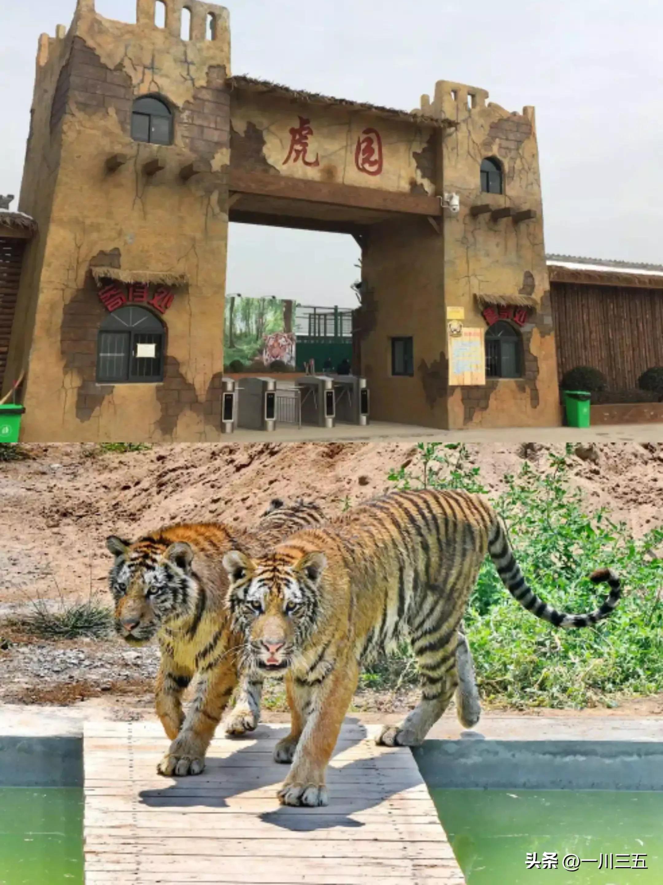 阎良飞机城旅游攻略一日游,阎良航空城一日游美篇