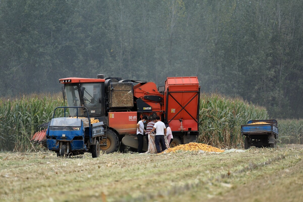 沃得四行玉米收割机多少钱一台,久保田1408玉米联合收获机价格