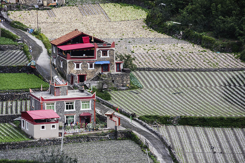 西部大草原旅游攻略,四川红原大草原自驾旅游攻略