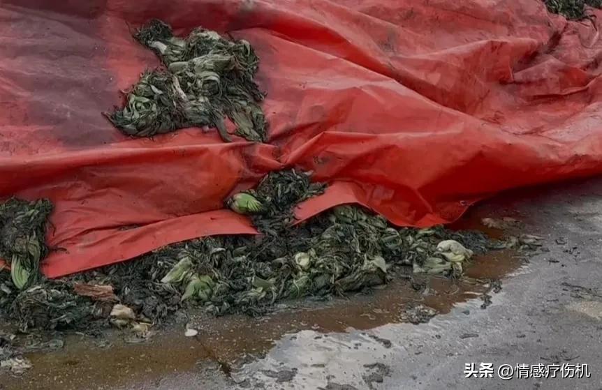 垃圾成食品原料，“橄榄菜”接棒“老谭酸菜”蓄力315