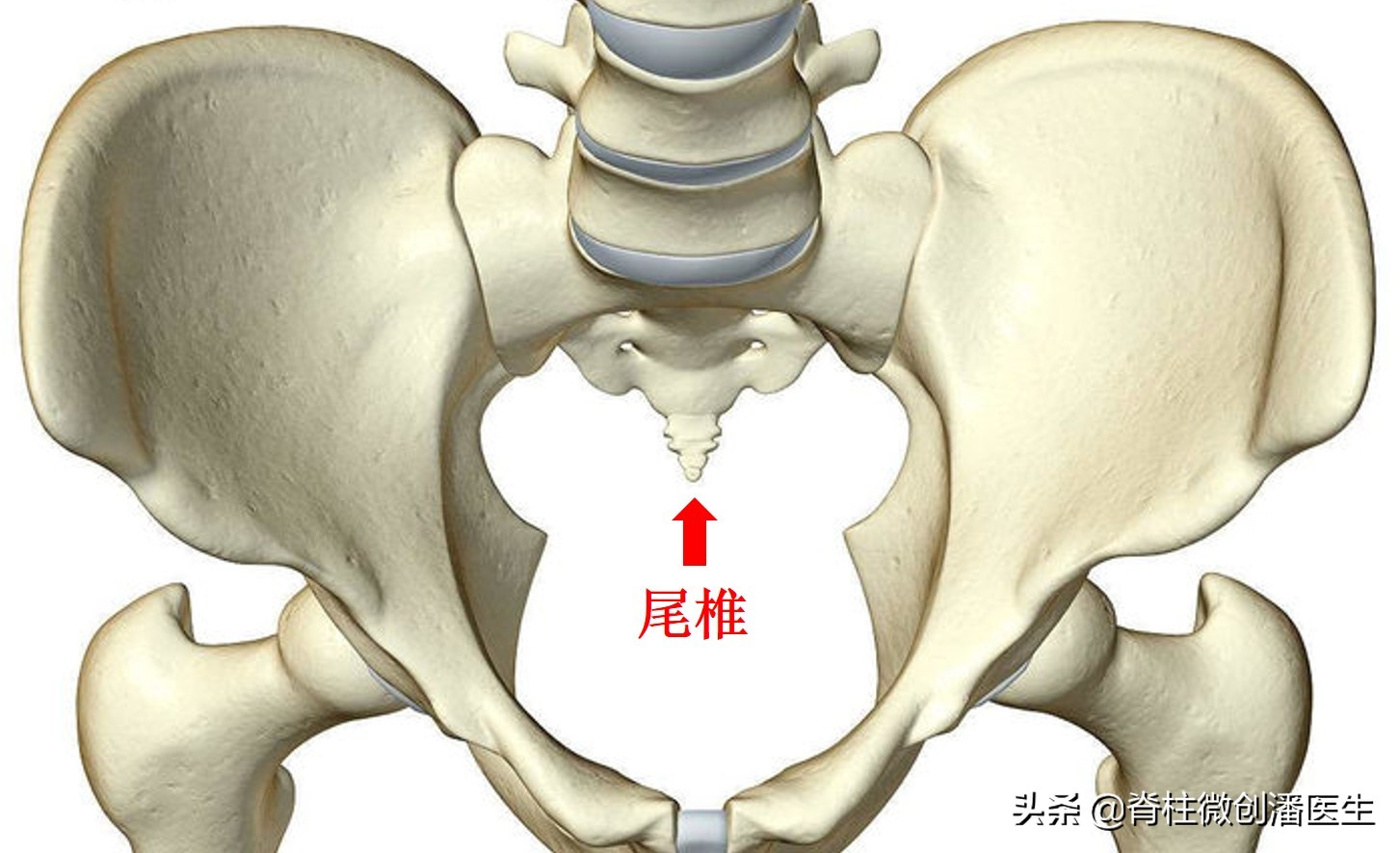 尾巴骨痛用什么药好,坐着尾巴骨痛怎么办