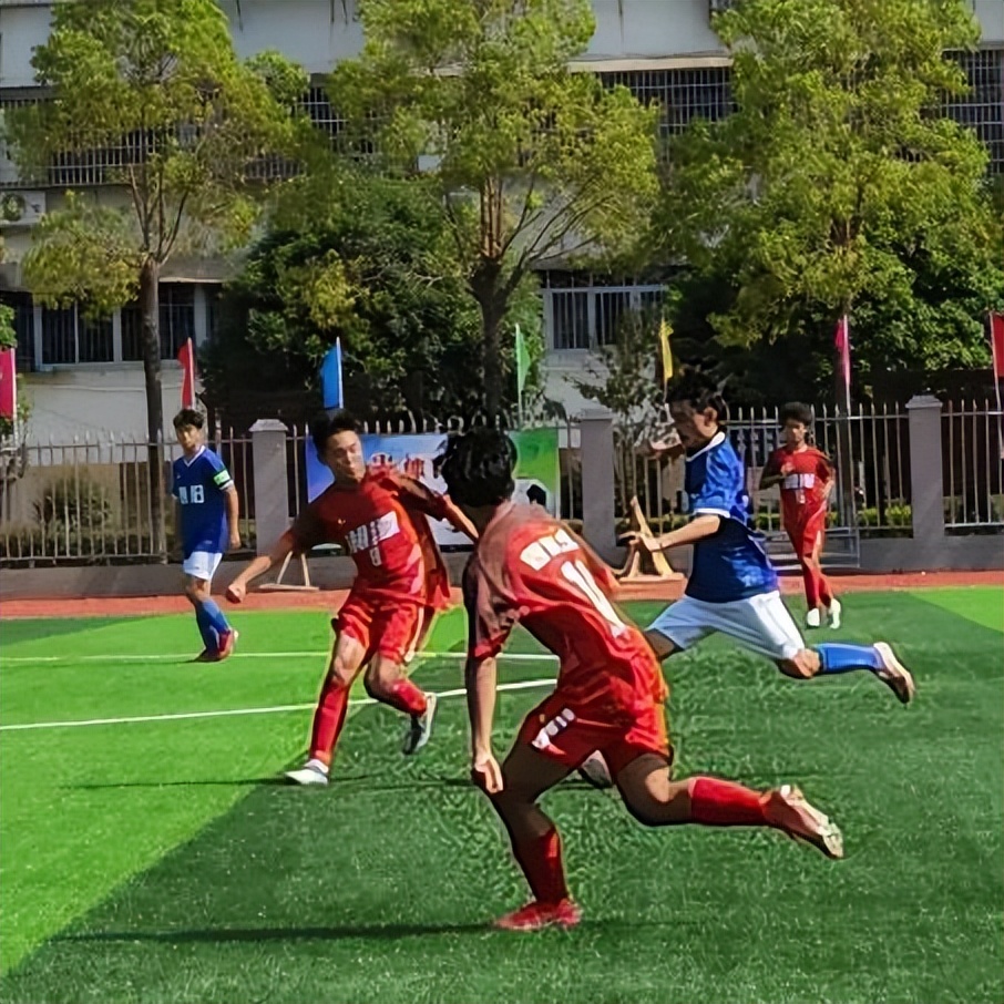 喜报省运会,江声成绩单