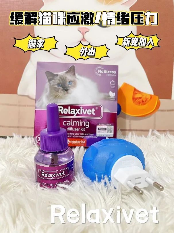 斯芬克斯无毛猫洗澡解压,斯芬克斯猫如何取暖