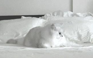 隐形眼镜边缘往里卷了怎么办,隐形眼镜蜷缩在眼睛里了怎么办