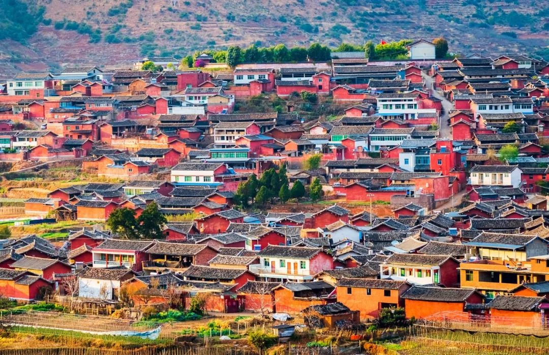 喜欢在这座江南城市里生活,非常喜欢这座自带浪漫的美丽城市