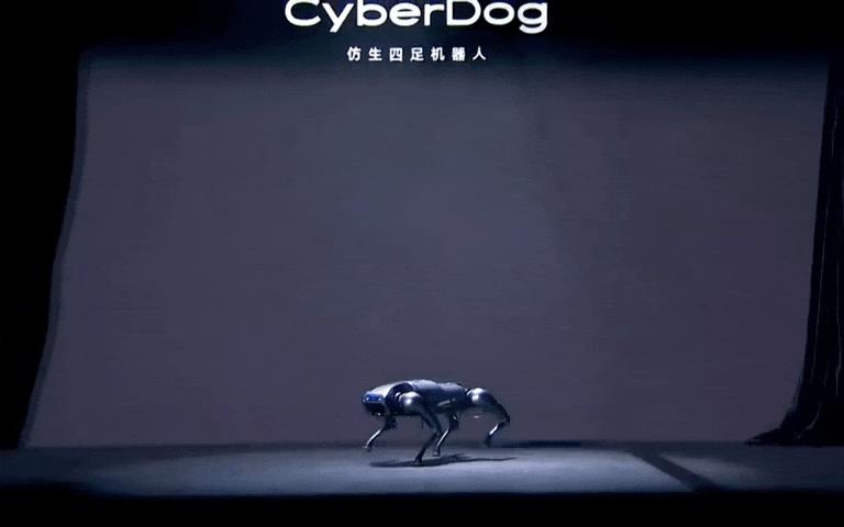 遛机械狗兼职,遛机械狗