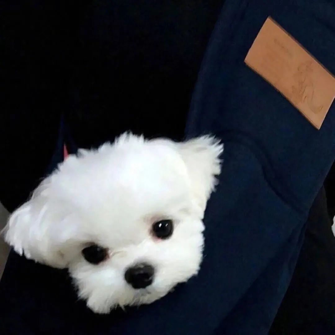 抖音头像动漫男,抖音动漫头像图片