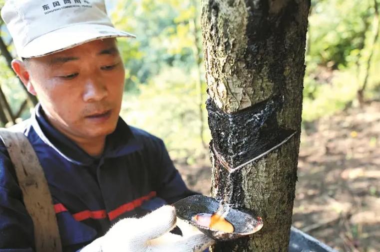 重庆法国大漆艺术家,一个法国富三代在重庆深山做漆